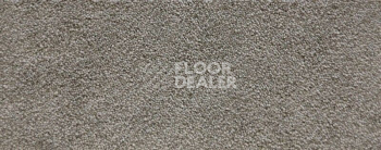 Ковролин Radici Lord Avena 331B фото 1 | FLOORDEALER
